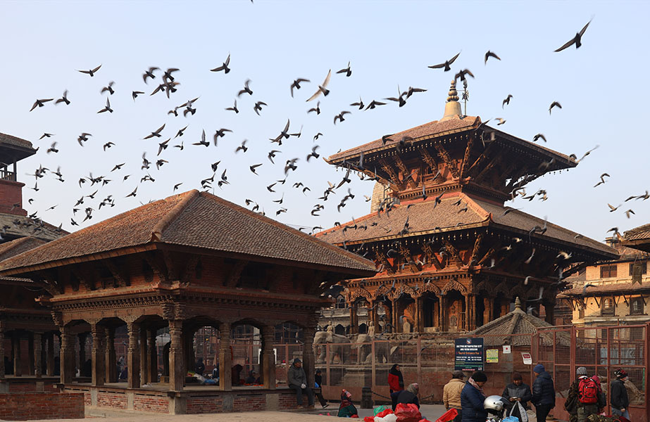 Photo of Newari Buildings, Flock of Flying Pigeons.